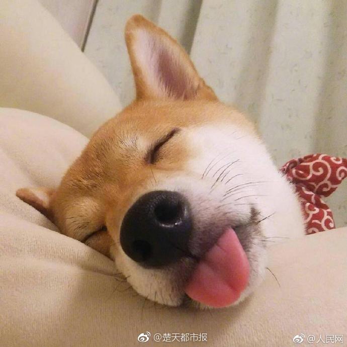 《擁擠的電軌》動(dòng)漫免費(fèi)觀看