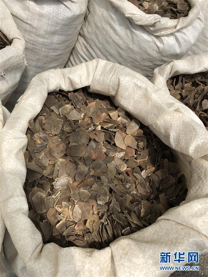 不吃素by林玉筆趣閣