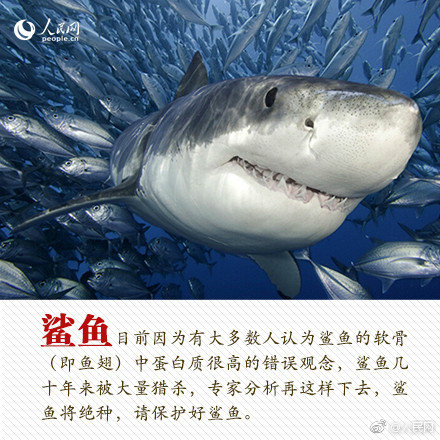 月亮奔我而來(lái)by泊岸邊趣書(shū)網(wǎng)