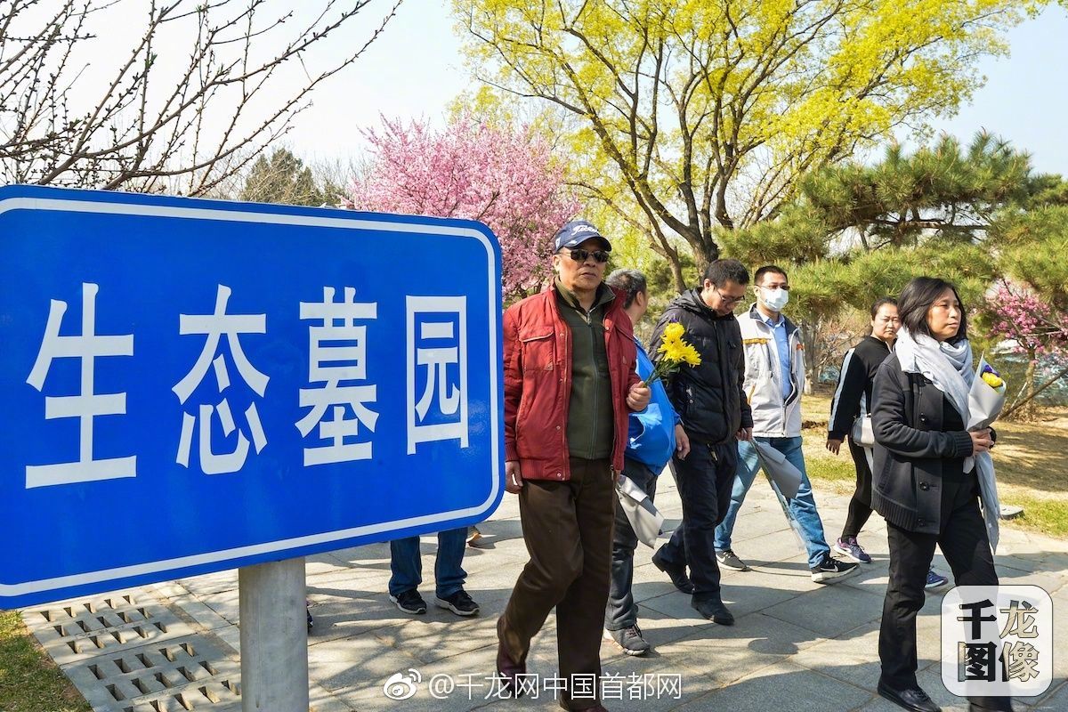 東北黑道往事TXT下載