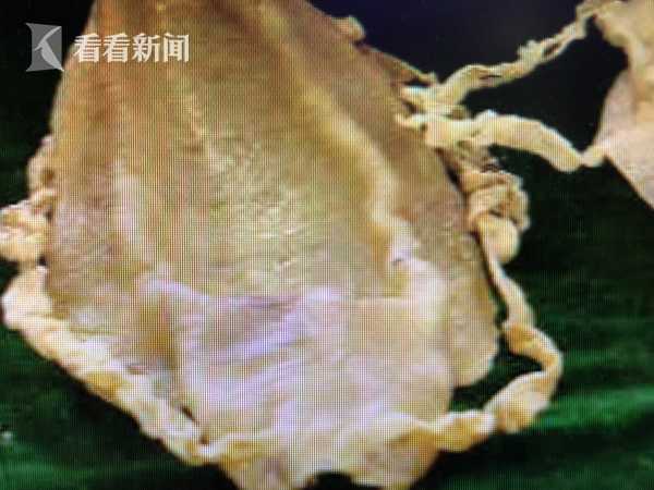 不循(重生)微盤