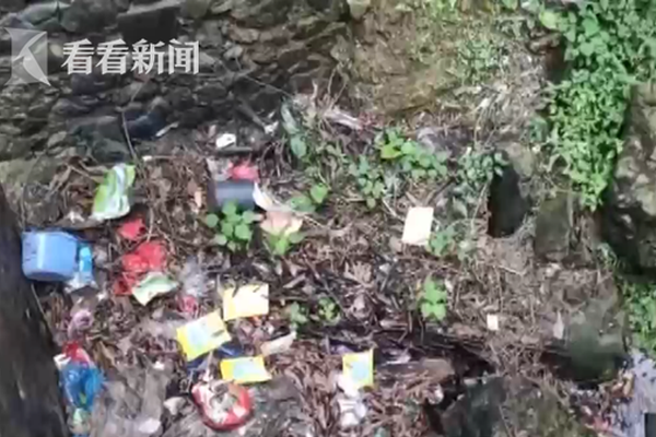 頂弄h校園1V1兩小無猜