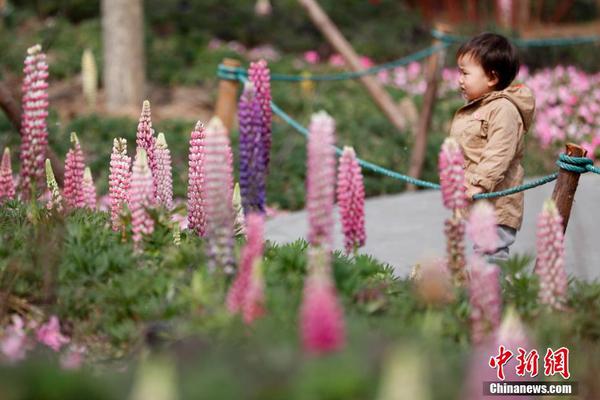 《一簪雪》by荔枝很甜免費(fèi)閱讀