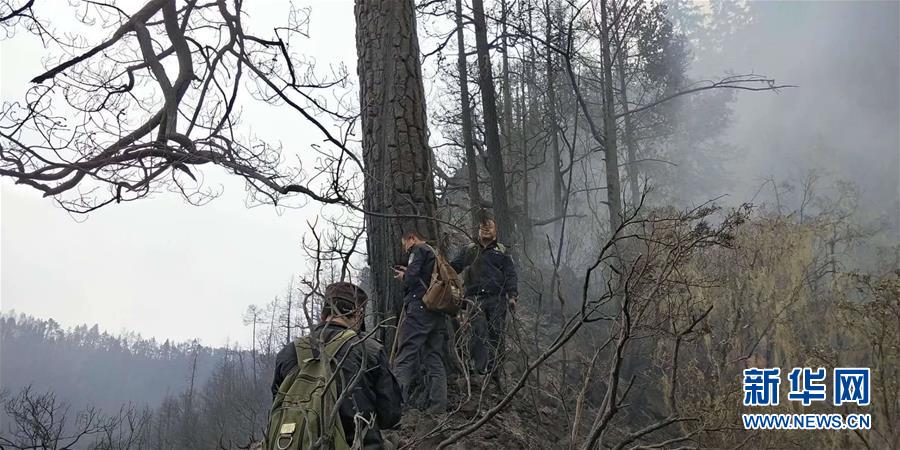 陳二狗TXT全本下載