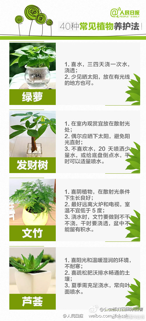 只想和你睡1v 1h月半喵336
