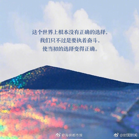 奪妻by碎碎平安的小說免費(fèi)閱讀下載