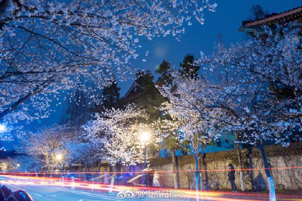 充電頭輸入100到240v是什么意思