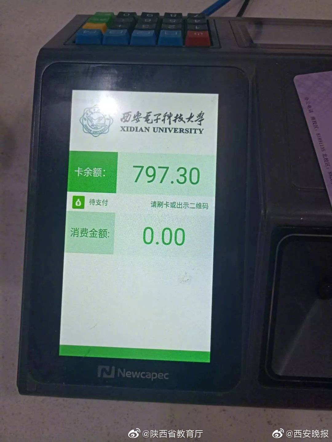 《再生歡》by八月薇妮免費閱讀