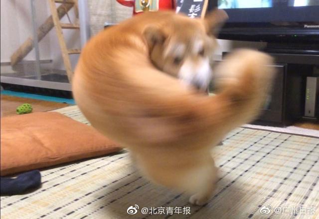 長腿校花芮嘉筆趣閣小說