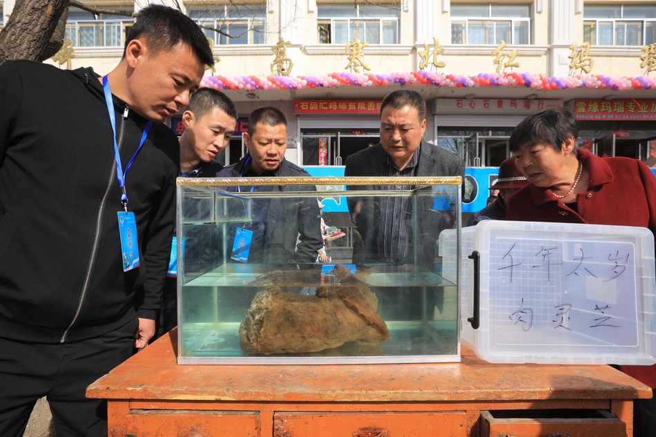 1444在線觀看免費(fèi)高清電視劇