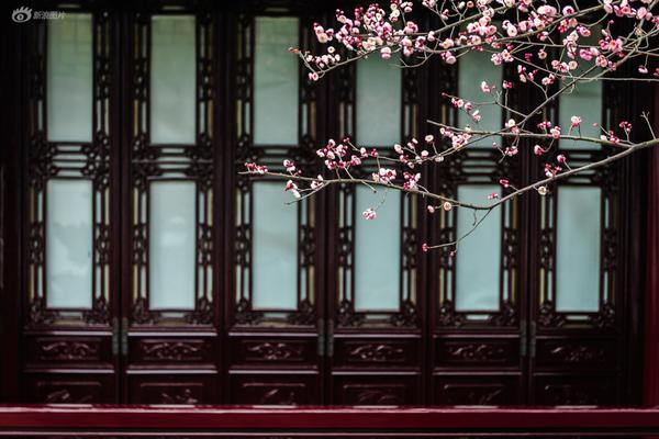 八零小說下載網(wǎng)站TXT免費下載