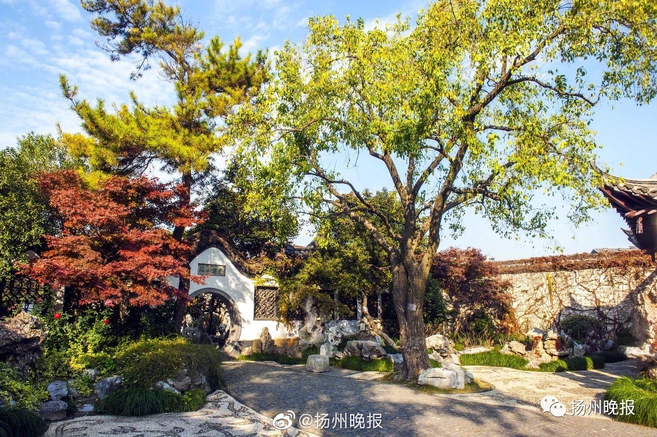 遠(yuǎn)上白云間by美人師尊