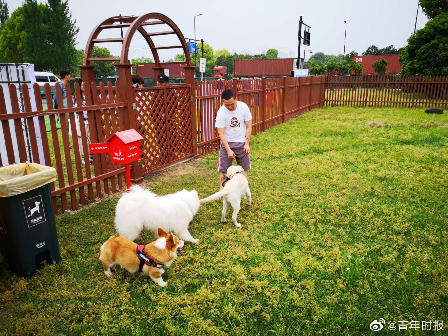 丈夫不在的日子中字頭是誰(shuí)