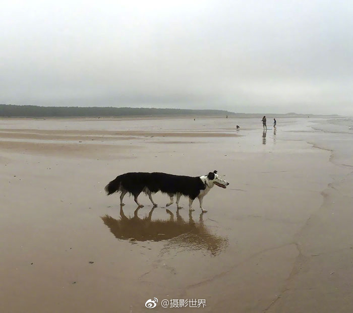 法國電影《浪得過火》