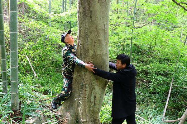 再婚傅小酥肉筆趣閣
