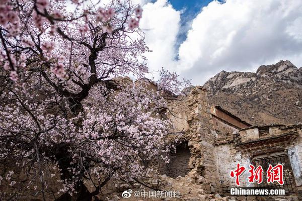 楚囚by林薩寶書網(wǎng)