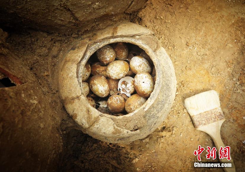 雨露蜜桃小說全文閱讀戰(zhàn)戀雪