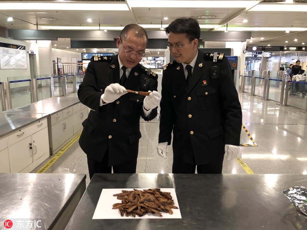房客by無罪國度全文免費閱讀無彈窗筆趣閣