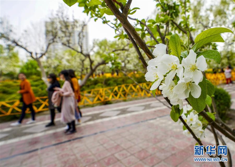 這很奇怪筆趣閣免費(fèi)閱讀
