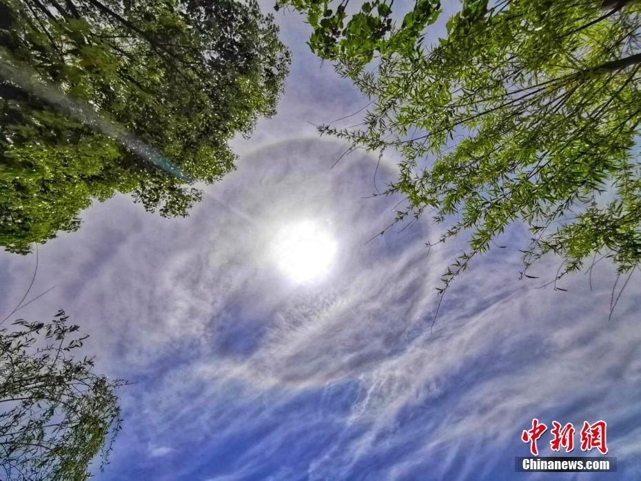 《星星入我懷》by溫梔全文在線(xiàn)