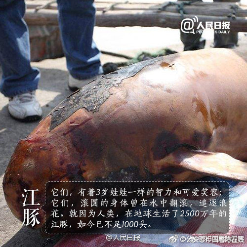 以身侍君by戲文