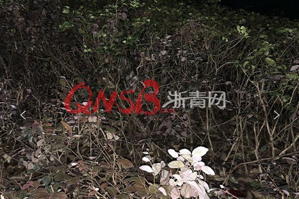 夜的命名術(shù)小說筆趣閣免費無廣告