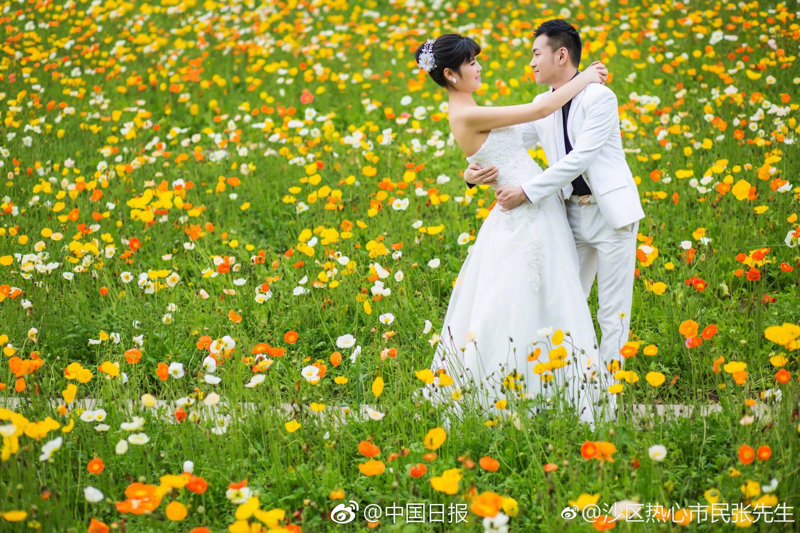 薄霧by微風(fēng)幾許趣書網(wǎng)