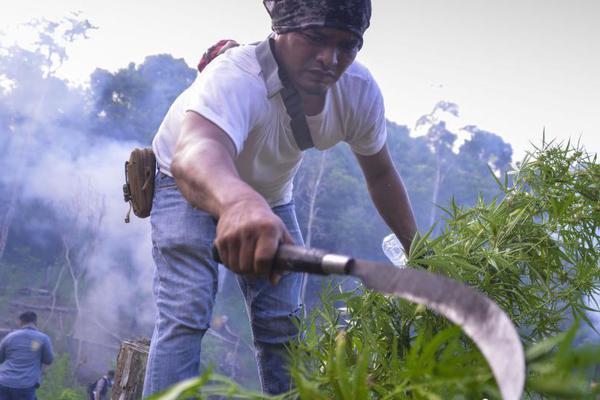 大乃老實(shí)人受筆趣閣小說推薦