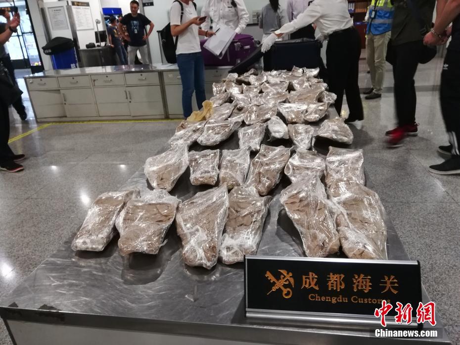 盡根而入直抵小龍女幽谷結(jié)局