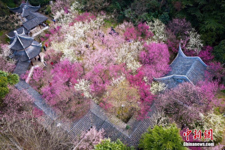 兒媳婦日語(yǔ)怎么說(shuō)