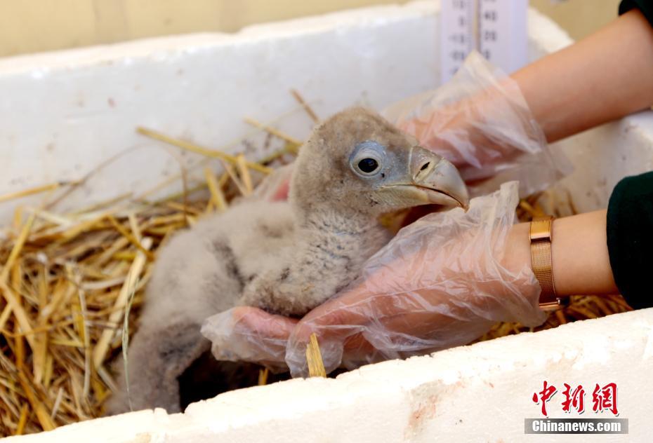 遠(yuǎn)山含黛by小說第三部