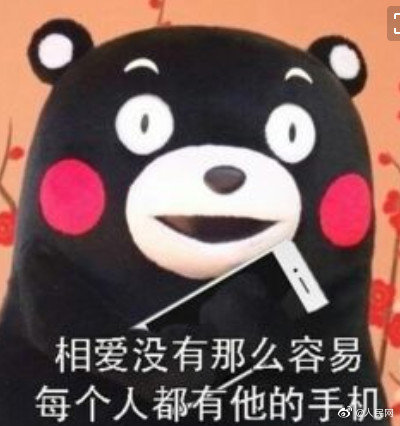 折枝未刪減txt百度云